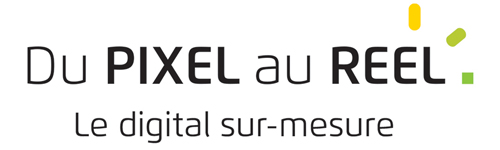 Logo Du PIXEL au REEL